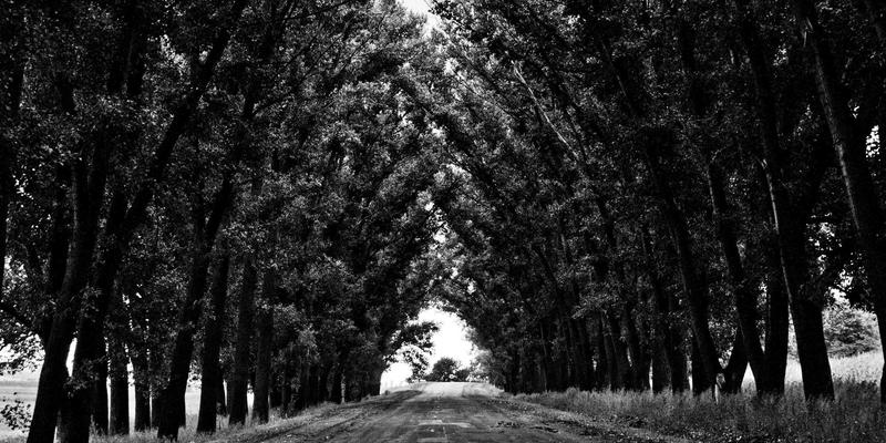 中航远洋：以智慧海运与仓储网络，深度赋能一带一路港口合作新格局