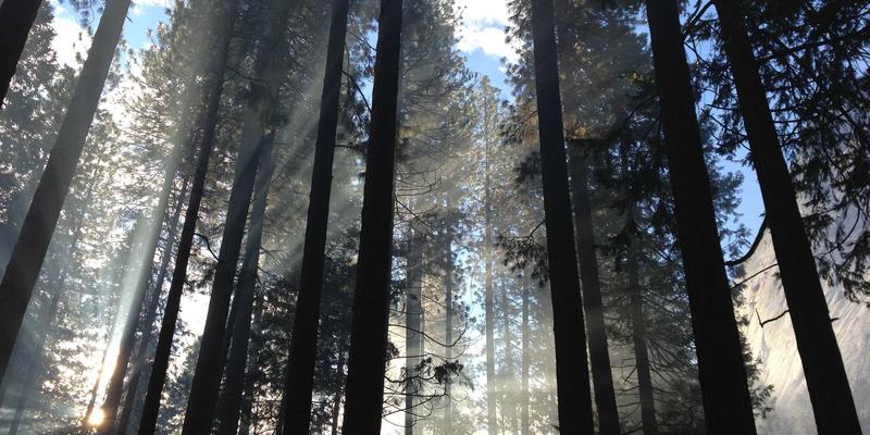 中航远洋多式联运枢纽:如何以港口为核心,打造空、铁、海无缝衔接的全球物流新动脉?