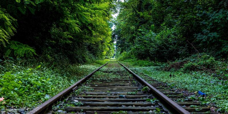 从报关到供应链:解码中航远洋船员薪酬福利体系如何重塑国际海运人才竞争力