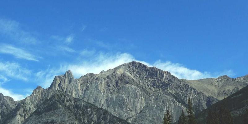 欧盟CBAM来袭,中航远洋如何破局?航运减排策略与供应链成本传导深度解析