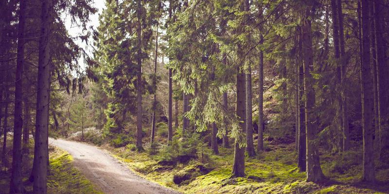 破浪出海:中航远洋如何以定制化海运方案,为跨境电商品牌打通全球供应链