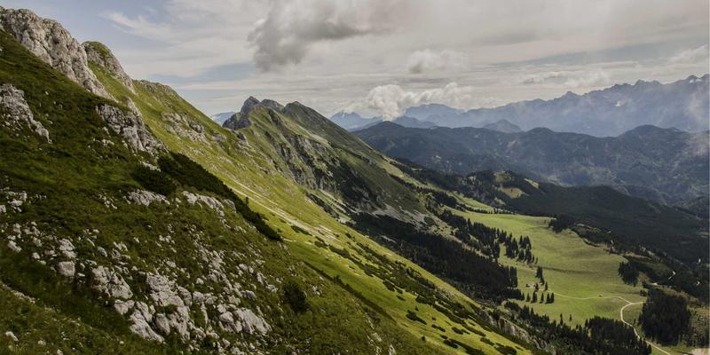 穿越周期迷雾：中航远洋如何以财务策略与风控体系驾驭航运市场波动