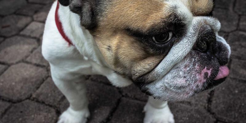 织密近洋航线网络：中航远洋如何以深度布局重塑亚洲供应链韧性