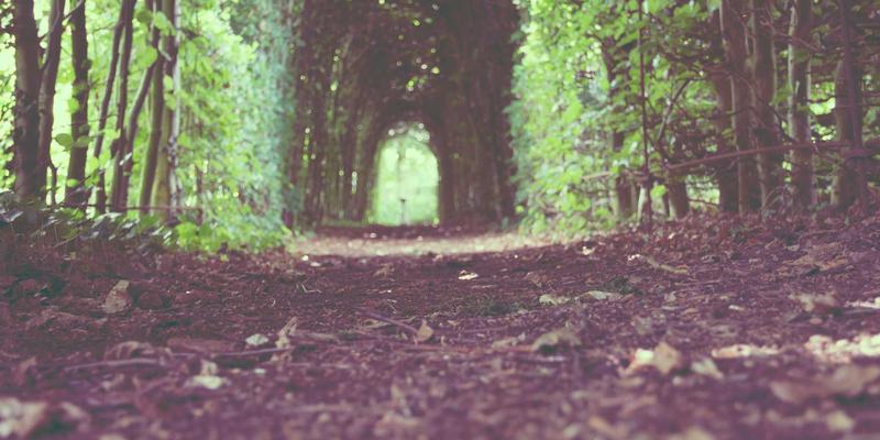 绿色航运新引擎：中航远洋LNG船队如何重塑低碳供应链与物流格局