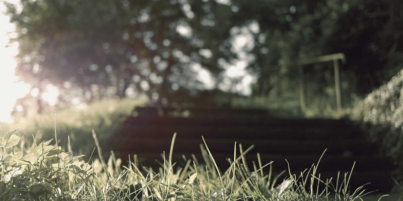 超越海运:中航远洋船队如何以现代化船舶技术重塑全球供应链管理