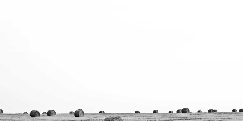 远洋动脉的绿色革命：中航远洋如何通过燃油效率管理重塑国际物流竞争力