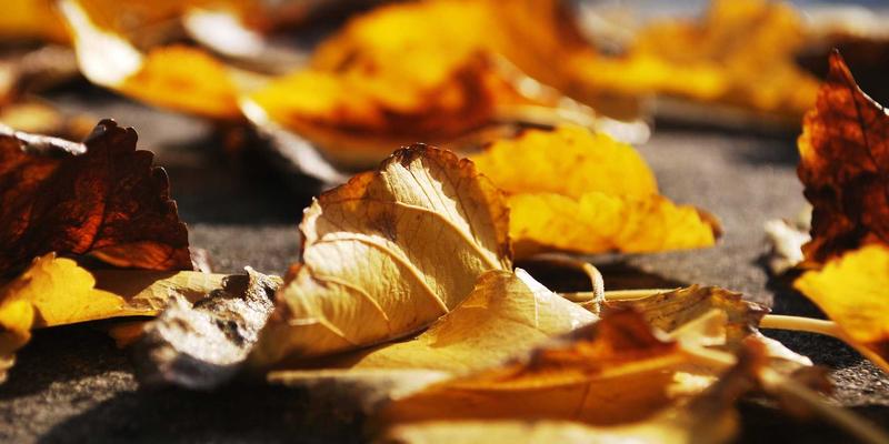 远洋船舶压载水管理:国际海运合规报关与生态保护的关键防线